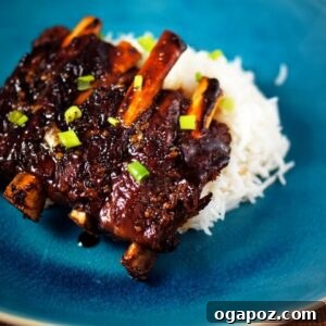 Honey Garlic Ribs