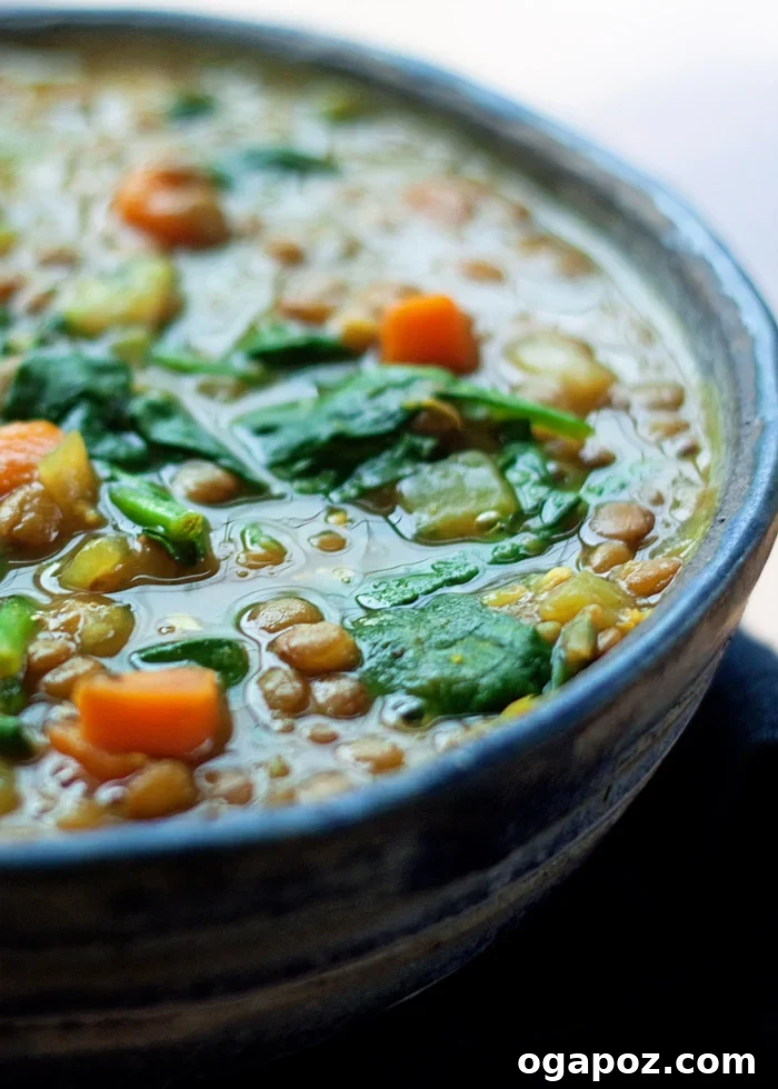 13 Instant Pot Recipes You'll Make Again and Again 14 Vegan Instant Pot Golden Lentil & Spinach Soup, a vibrant and nutritious plant-based soup.