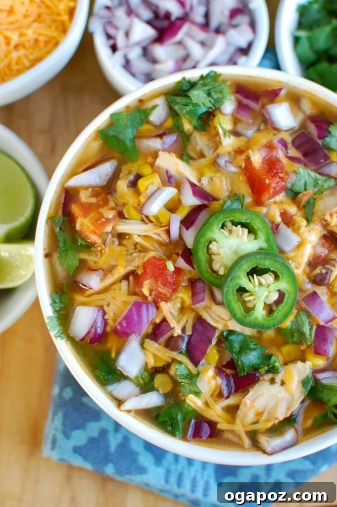 13 Instant Pot Recipes You'll Make Again and Again 6 Instant Pot Chicken Tortilla Soup with tender chicken, black beans, corn, diced tomatoes, and Mexican spices.