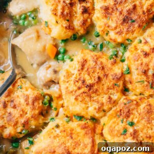 Chicken Stew with Biscuit Topping.