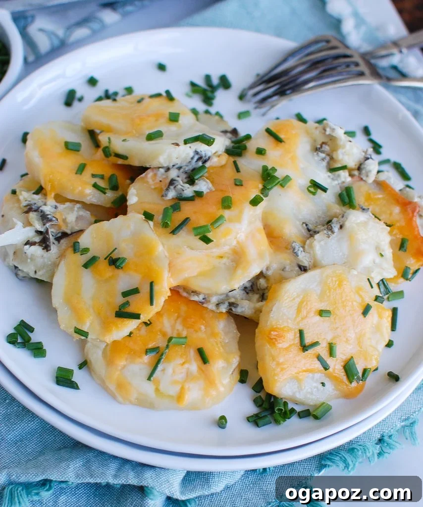 Creamy Spinach Artichoke Potato Gratin 3 A serving of Spinach Artichoke Scalloped Potatoes on a white plate, garnished with fresh chives, showing the inviting layers.