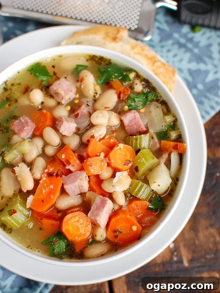 Rustic Ham and White Bean Soup 3 A serving of White Bean and Ham Soup in a white bowl, showcasing the rich broth and ingredients.