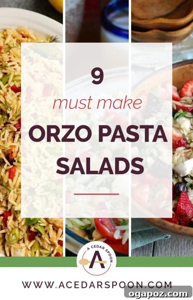9 Unforgettable Orzo Pasta Salads 2 A vibrant collection of 9 diverse orzo pasta salads, perfect for summer gatherings and meal prep.