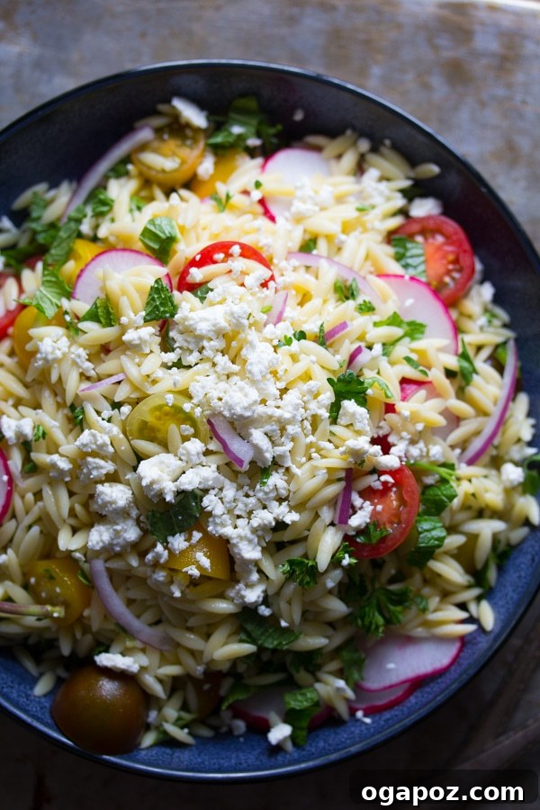 9 Unforgettable Orzo Pasta Salads 4 Close-up of Herbed Orzo Pasta Salad with cherry tomatoes, crumbled feta cheese, and green herbs.