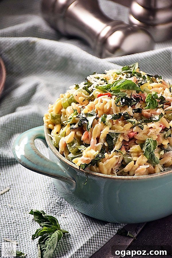 9 Unforgettable Orzo Pasta Salads 5 Savory Garlic and Parmesan Orzo Salad mixed with colorful fresh vegetables.