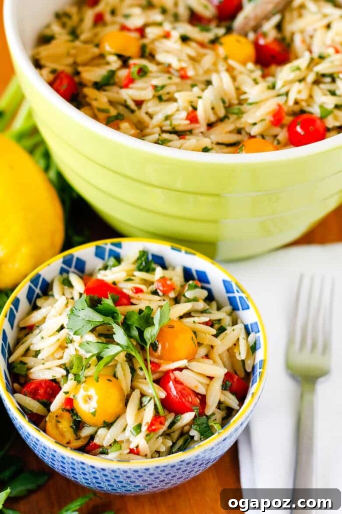 9 Unforgettable Orzo Pasta Salads 6 Bright Lemon Basil Orzo Salad garnished with fresh basil leaves.