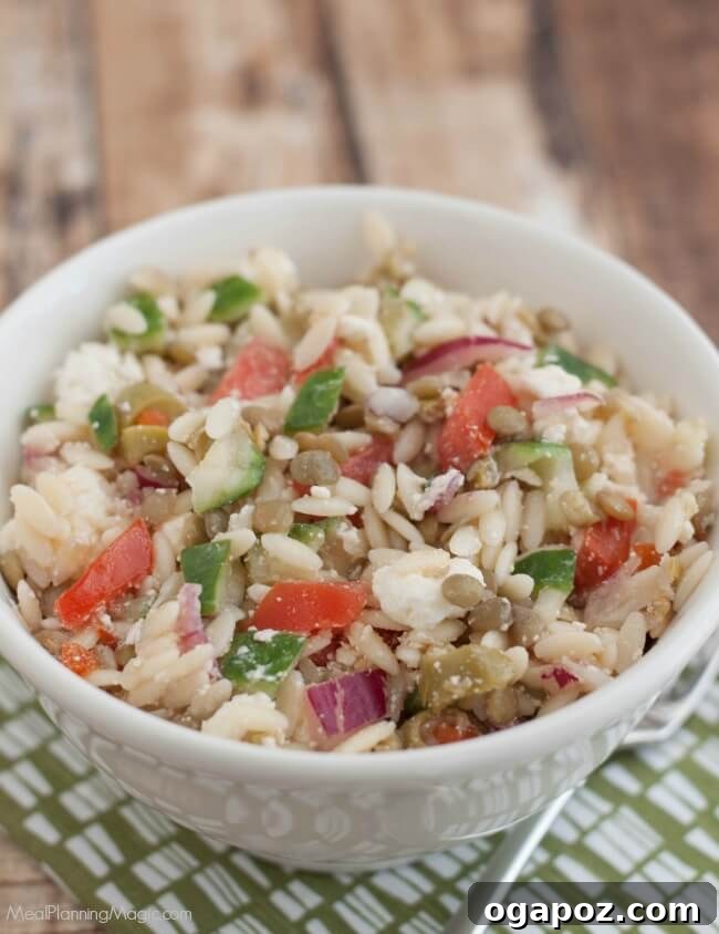 9 Unforgettable Orzo Pasta Salads 7 Hearty Greek Lentil Orzo Salad packed with lentils, orzo, and fresh Mediterranean vegetables.