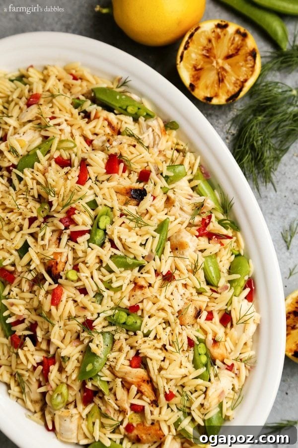 9 Unforgettable Orzo Pasta Salads 8 Delicious Grilled Chicken and Lemon Orzo Salad with tender chicken pieces and fresh lemon wedges.