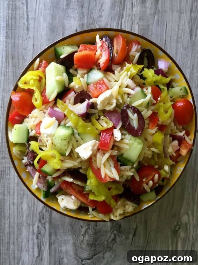 9 Unforgettable Orzo Pasta Salads 9 Classic Greek Orzo Pasta Salad with olives, feta, cucumbers, and a vibrant dressing.