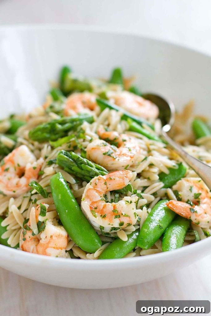 9 Unforgettable Orzo Pasta Salads 10 Light and fresh Primavera Pasta Salad with succulent shrimp and spring vegetables.