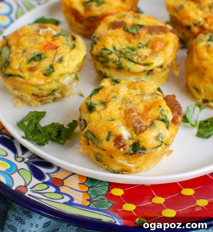 Southwest Turkey Sausage Sunrise Bites 2 Delicious Southwestern Turkey Sausage Egg Cups presented on a white plate with fresh cilantro garnish