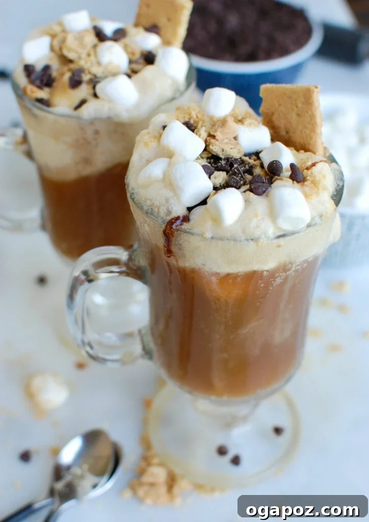 S'mores A&W Root Beer Floats 2 Delicious S'mores A&W Root Beer Floats with graham crackers, marshmallows, and chocolate chips