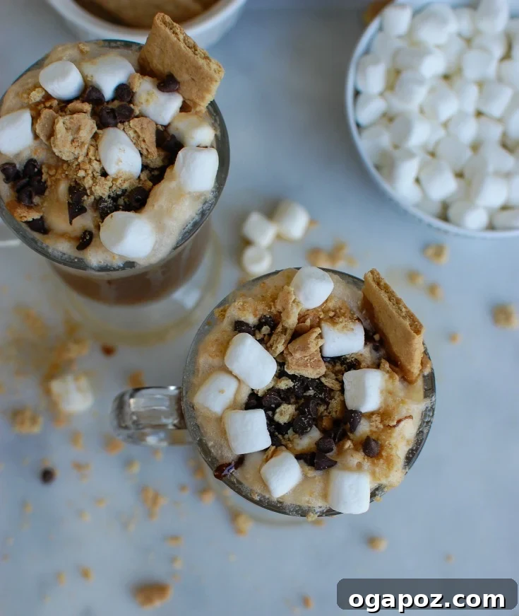 S'mores A&W Root Beer Floats 3 Two S'mores A&W Root Beer Floats in glasses, garnished generously