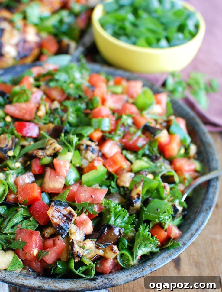 14 Sun-Kissed Mediterranean Grilling Recipes 9 Colorful Mediterranean Eggplant Salad with grilled eggplant, fresh tomatoes, mint, parsley, green onion, and bell pepper, tossed with olive oil, lemon juice, za'atar, and crushed red pepper.