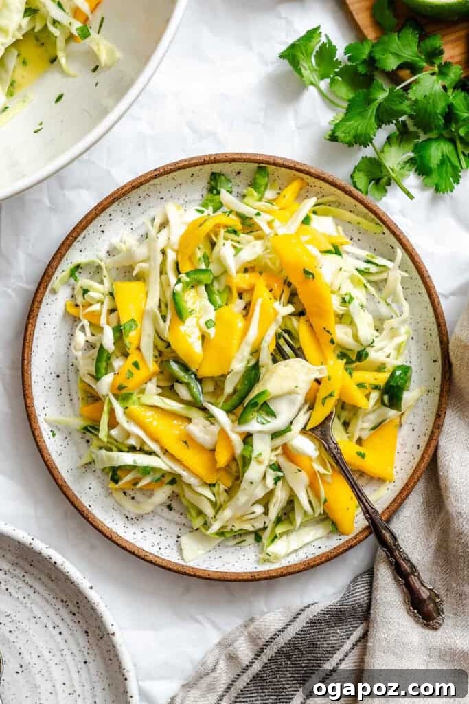Effortless Tropical Mango Slaw 2 A serving of Easy Mango Cabbage Coleslaw on a white plate, showcasing its vibrant colors.