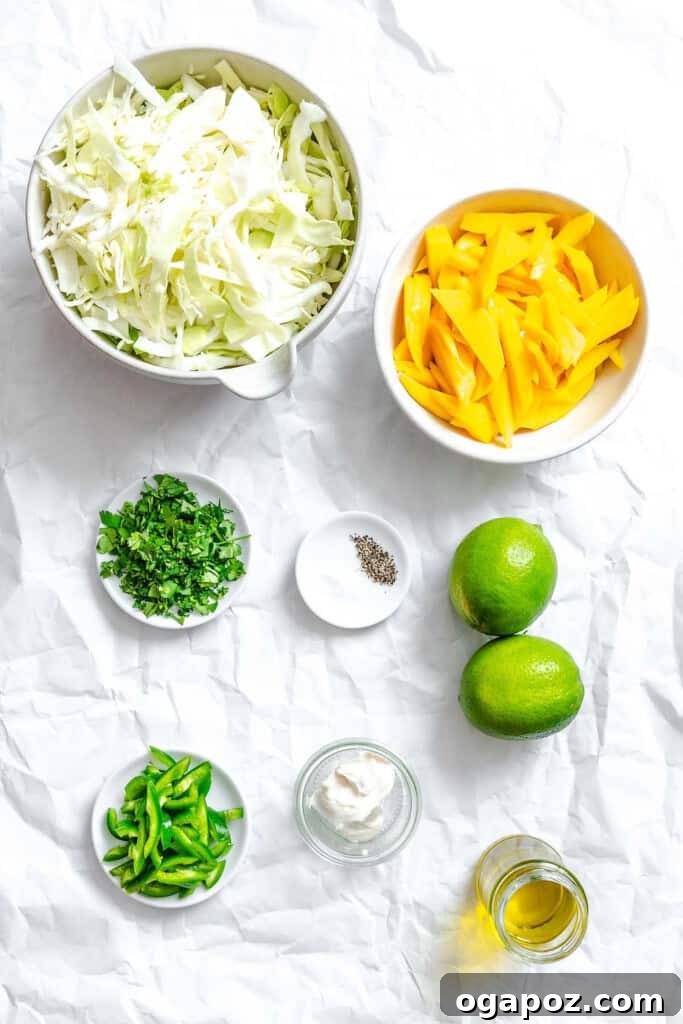 Effortless Tropical Mango Slaw 6 All ingredients for Easy Mango Cabbage Coleslaw laid out on a table.