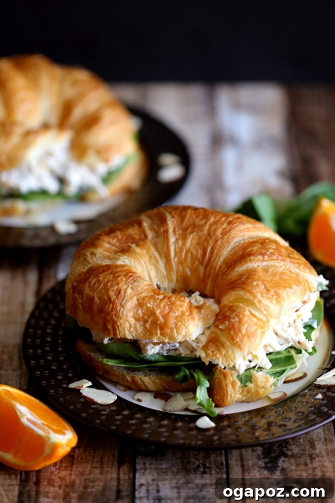 11 Effortless Chicken Salad Creations 11 Light and refreshing Mandarin Orange Chicken Salad with juicy mandarin segments, crisp greens, and a savory dressing.