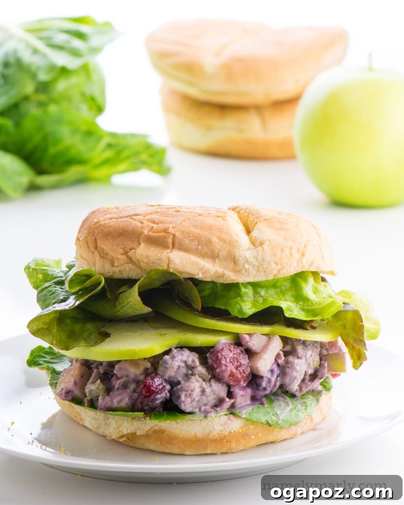 11 Effortless Chicken Salad Creations 13 A plant-based Vegan Chicken Salad alternative, made with chickpeas or other plant-based protein, offering a delicious and cruelty-free option.