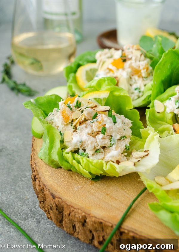 11 Effortless Chicken Salad Creations 6 Fresh Lemon Tarragon Chicken Salad served in vibrant lettuce wraps, offering a light and zesty meal.