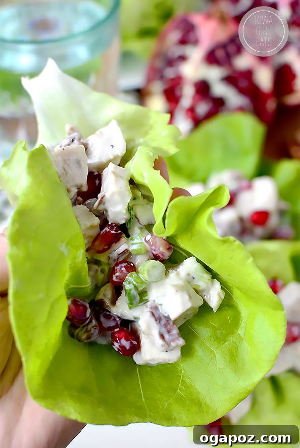 11 Effortless Chicken Salad Creations 8 Mayo-Free Honey Pomegranate Pecan Chicken Salad, a sweet and crunchy option with a light dressing.