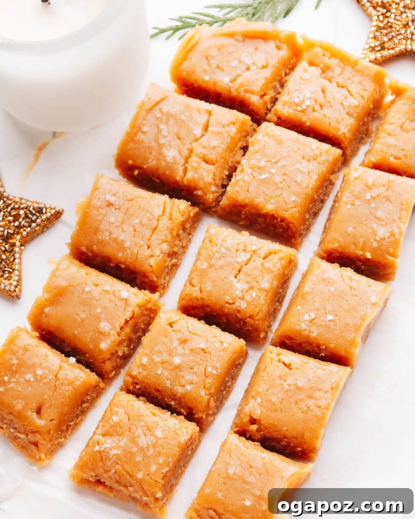 Two Ingredient Creamy Peanut Butter Fudge 8 2 Ingredient Peanut Butter Fudge cutted pieces with chocolate drizzle