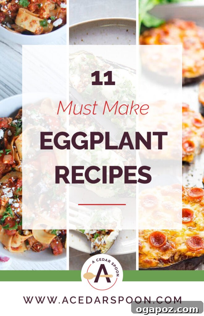 11 Ultimate Eggplant Recipes 2 A collage of 11 diverse eggplant recipes, showcasing vibrant Mediterranean salads, hearty grilled dishes, and creamy dips, all perfect for healthy summer meals.