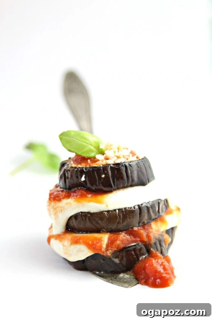 11 Ultimate Eggplant Recipes 6 Individual baked eggplant parmesan stacks, layered with rich tomato sauce, mozzarella, and fresh basil.