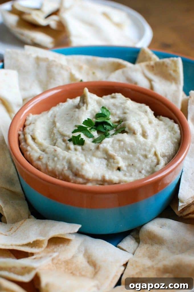 11 Ultimate Eggplant Recipes 7 Creamy and smoky Baba Ghanoush dip, a classic Middle Eastern appetizer made from roasted eggplant, tahini, lemon juice, and garlic.