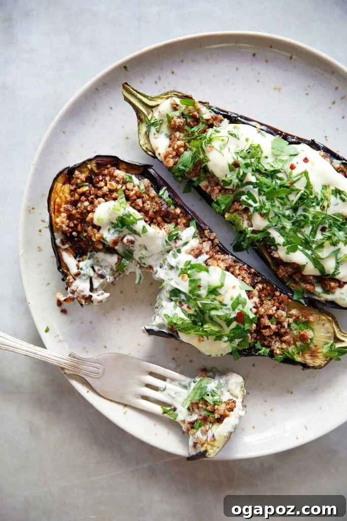 11 Ultimate Eggplant Recipes 9 Thick slices of grilled eggplant loaded with a vibrant, creamy herb sauce, perfect as a substantial vegetarian main course.