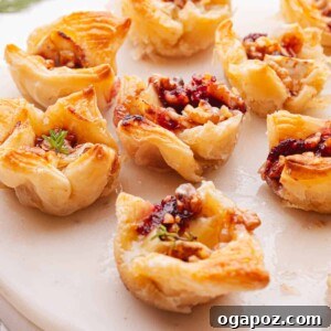 Brie Appetizer Recipe.