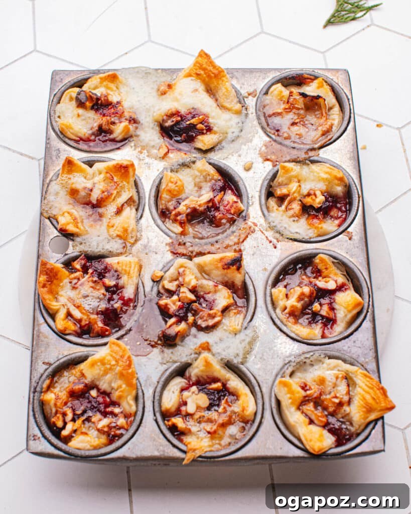 Effortless Brie Everyone Will Love 10 A cluster of golden, baked Brie Appetizer bites on a serving plate.