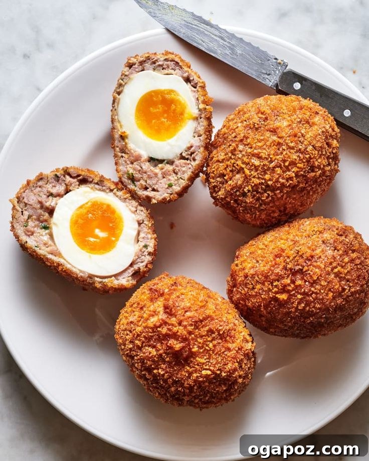 A classic Scotch Egg, featuring a perfectly boiled egg encased in seasoned breakfast sausage meat and crispy breadcrumbs, sliced to show the golden yolk.