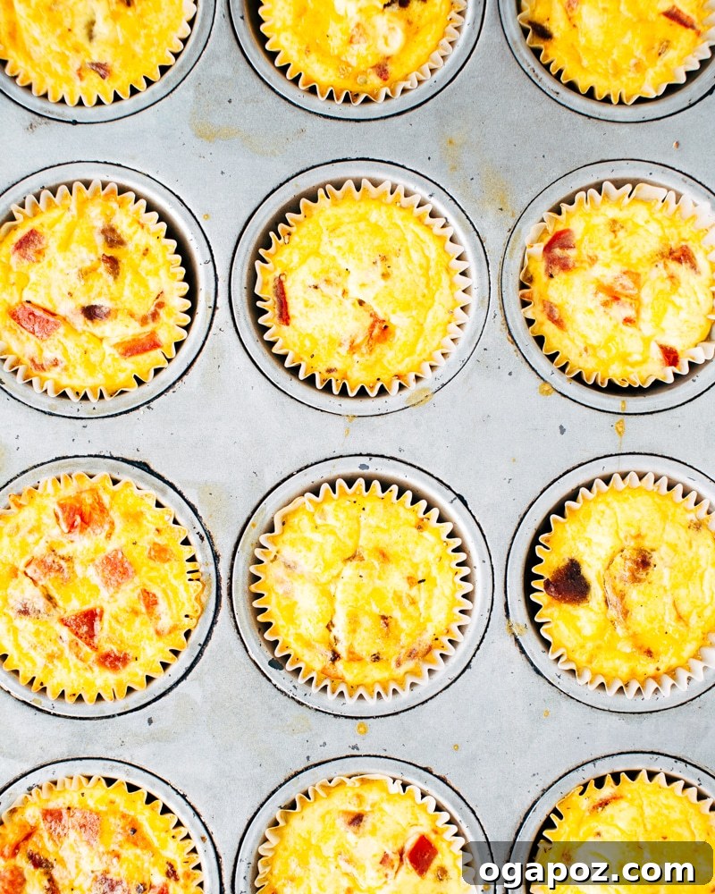 Adorable Mini Quiches, perfect for kids or a quick snack, freshly baked in muffin tins with a golden crust and savory filling.