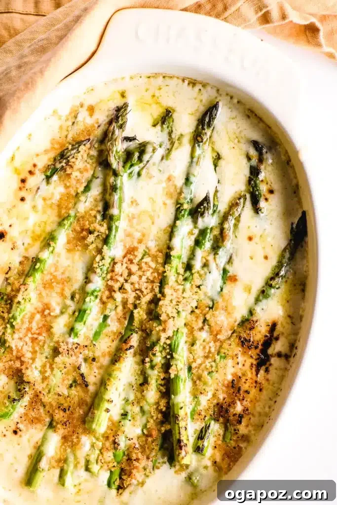 31 Delicious Side Dishes for Your Meatloaf Dinner 23 Asparagus gratin, cheesy and bubbly.