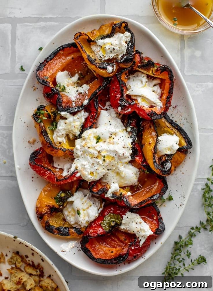 Effortless Healthy Sides for Meatloaf 35 Delicious Choices 23 A visually stunning healthy side dish for meatloaf, featuring grilled peppers alongside creamy burrata cheese and crusty bread.