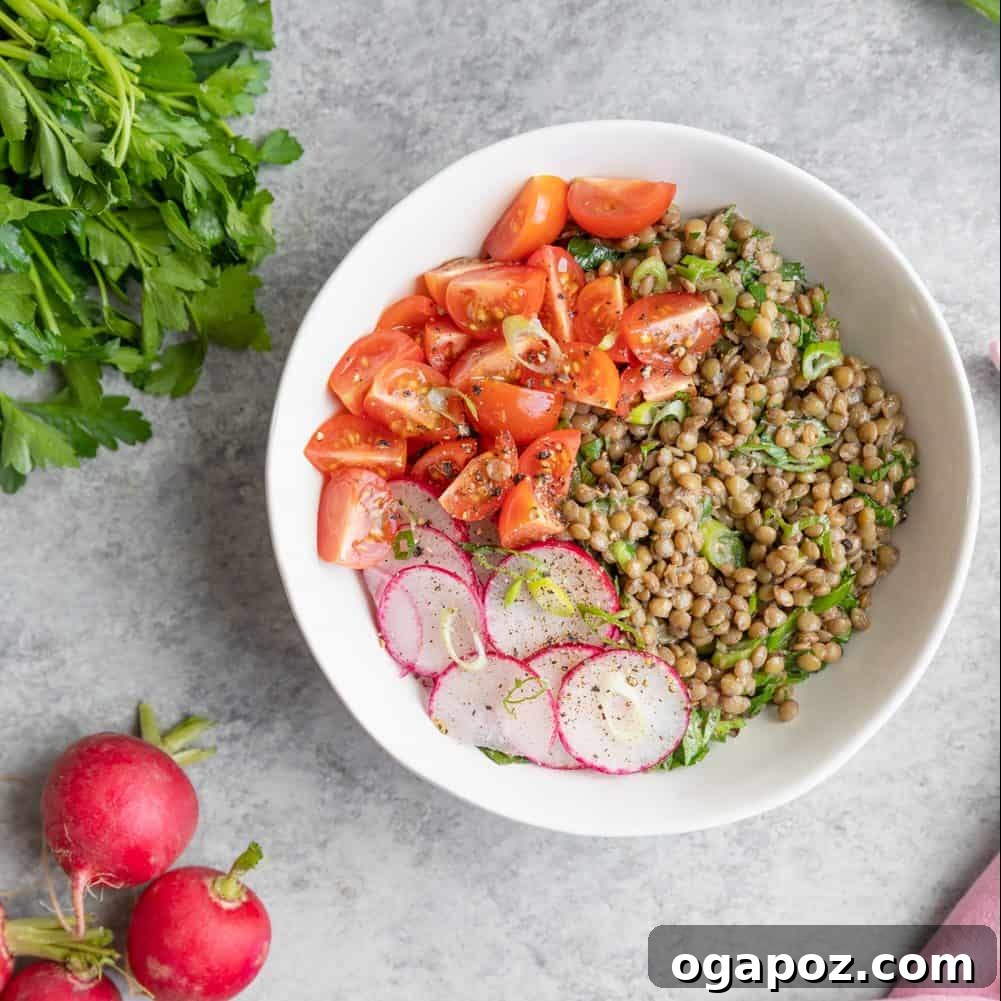 Effortless Healthy Sides for Meatloaf 35 Delicious Choices 25 A colorful and hearty marinated lentil salad, brimming with fresh vegetables and offering a plant-based, satisfying option.
