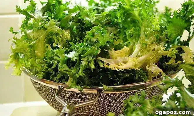 Beyond the Bowl: Essential Sides to Elevate Your Mac and Cheese 23 A vibrant salad of wilted endive lettuce with orange segments, dates, and almonds, offering a complex flavor profile.