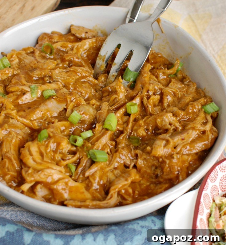 Effortless Slow Cooker Pork Tenderloin 3 Shredded Slow Cooker Pork Tenderloin with spices