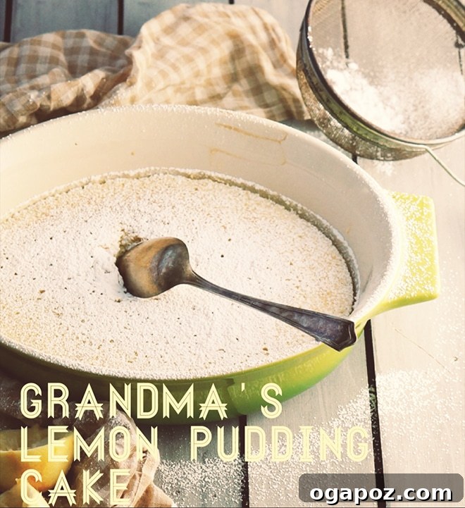Zesty Lemon Pudding Cake 5 A beautifully presented slice of Grandma's Lemon Pudding Cake, showcasing its distinct layers of fluffy sponge and creamy pudding, garnished with a dusting of icing sugar.
