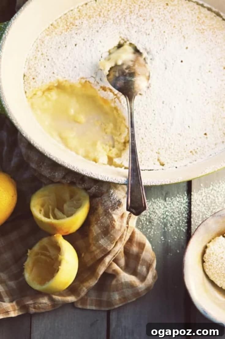 Zesty Lemon Pudding Cake 6 This easy, made from scratch, light and fluffy Lemon Pudding Cake is better than any lemon cake that comes from a box! Get your hands on this amazing delicious dessert recipe right now!