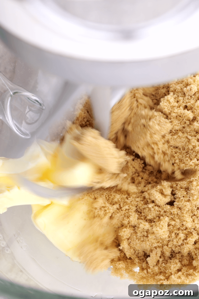 Grandma's Simple Hermit Cookies 4 Creaming butter and dark brown sugar together in a stand mixer bowl for hermit cookie recipe.