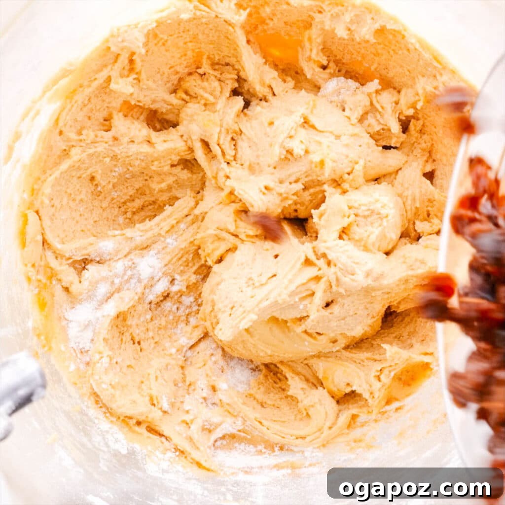 Grandma's Simple Hermit Cookies 6 Pale and thick creamed butter, sugar, and egg mixture for hermit cookie dough.