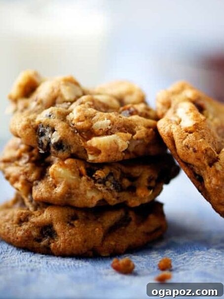 Grandma's Simple Hermit Cookies 9 Beautifully stacked hermit cookies, showcasing their rich color and texture, ready to be enjoyed.