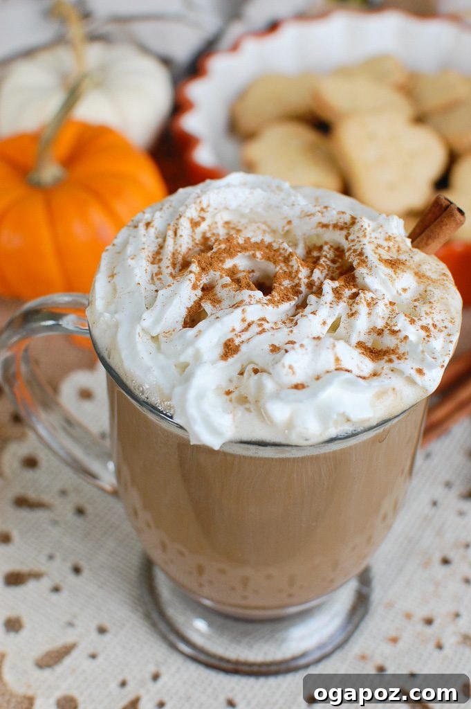 Golden Harvest Brew 2 Steaming Homemade Pumpkin Spice Latte in a mug, garnished with whipped cream and a dusting of cinnamon, perfect for fall.