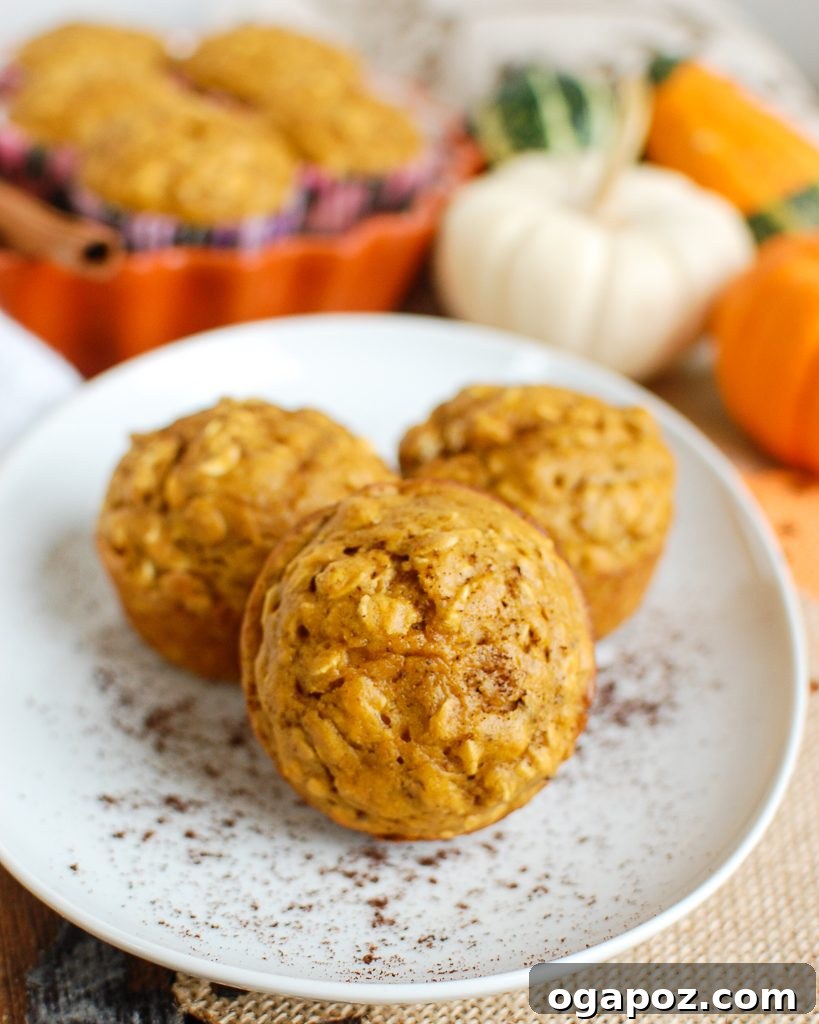 Perfectly Simple Pumpkin Muffins 2 Easy Pumpkin Muffins on a white plate with a warm drink
