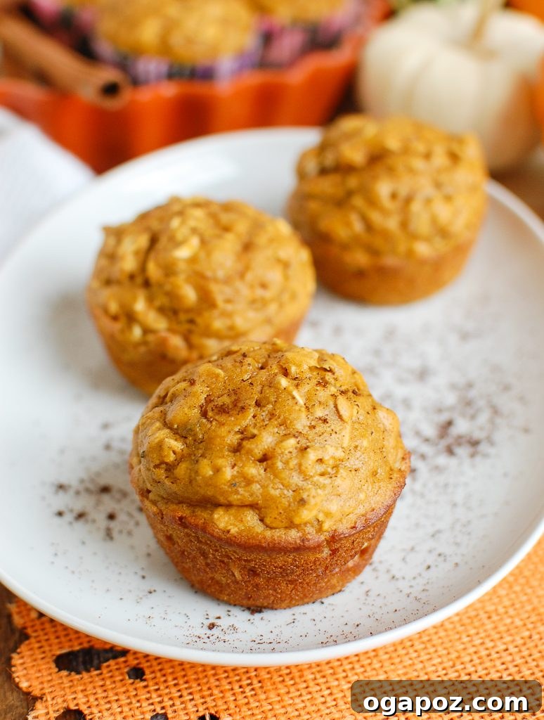 Perfectly Simple Pumpkin Muffins 3 Three Easy Pumpkin Muffins on a white plate, showcasing their texture