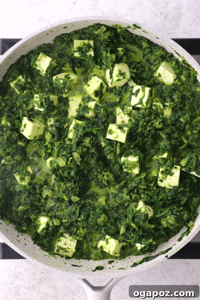 Creamy Indian Spinach and Paneer 8 Close up of saag paneer.