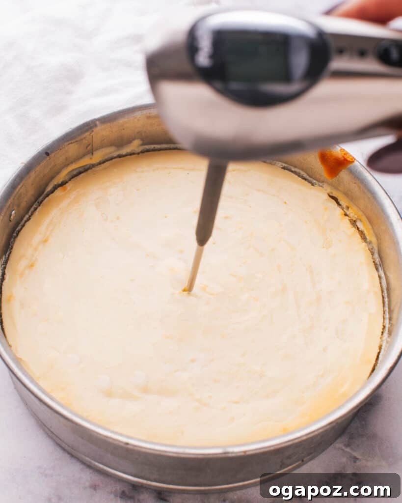 Philadelphia Cheesecake Classic Perfection Pro Insights 13 A hand using an instant-read thermometer to check the internal temperature of a baked cheesecake.