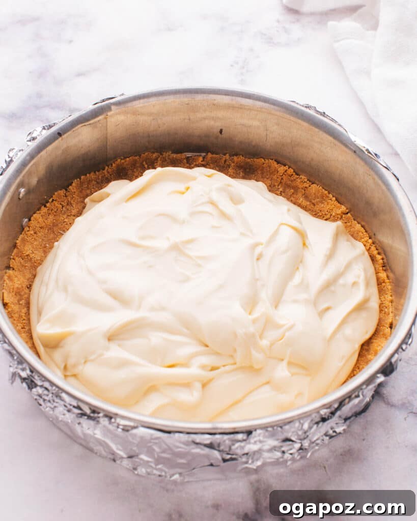 Philadelphia Cheesecake Classic Perfection Pro Insights 16 Smooth cheesecake batter being poured over a graham cracker crust in a springform pan.