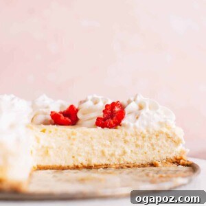 Philadelphia Cheesecake Classic Perfection Pro Insights 19 A perfectly sliced piece of classic Philadelphia cheesecake, showcasing its creamy texture and golden-brown graham cracker crust.